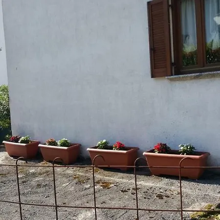 House Curti Apartment *